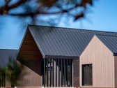 Pilialaukio šilas – tai miško kaimynystėje - nuotraukos Nr. 7