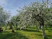 Parduodamas 2 Kambarių Butas Anykščių R. - nuotraukos Nr. 11