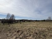 80 arų rekreacinis sklypas su panoraminiais - nuotraukos Nr. 14
