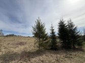 80 arų rekreacinis sklypas su panoraminiais - nuotraukos Nr. 9