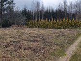 Parduodu žemės sklypą soduose. Esantį Prienų - nuotraukos Nr. 2
