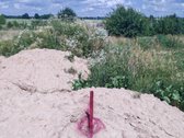 Raseiniuose Parduodamas Namų Valdos Sklypas - nuotraukos Nr. 4