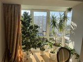 Puikioje lokacijoje parduodamas tvarkingas 3 - nuotraukos Nr. 3
