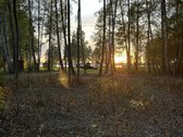 Parduodu sklypa prie Dusios ezero.sklypui - nuotraukos Nr. 11