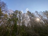 Miško Apsupty, Šalia Prienų Miesto - nuotraukos Nr. 16