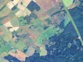 Parduodamas taisyklingos formos 7,42 ha žemės - nuotraukos Nr. 2