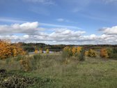 Parduodamas Namų Valdos Sklypas Sudervėje – - nuotraukos Nr. 3