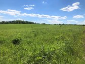 Parduodamas Sklypas Vilniaus Raj., Rūkainių - nuotraukos Nr. 2