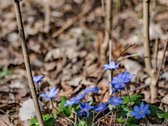 Parduodamas Kokybiškai Ir Šiuolaikiškai - nuotraukos Nr. 30