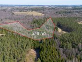 Parduodami Du Miškų Ūkio Paskirties Sklypai - nuotraukos Nr. 2