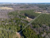Parduodami Du Miškų Ūkio Paskirties Sklypai - nuotraukos Nr. 8