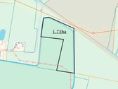 Parduodami Du Miškų Ūkio Paskirties Sklypai - nuotraukos Nr. 5