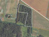 Parduodami Du Miškų Ūkio Paskirties Sklypai - nuotraukos Nr. 6