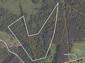 Parduodami Du Miškų Ūkio Paskirties Sklypai - nuotraukos Nr. 10