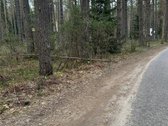 Parduodu nuo 5 iki 100 arų sklypus - nuotraukos Nr. 7