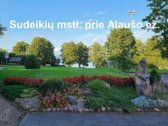 Parduodama 0.75 ha sodyba prie didelio - nuotraukos Nr. 28