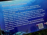Parduodama 0.75 ha sodyba prie didelio - nuotraukos Nr. 30