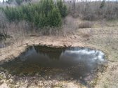 Parduodama sena sodyba išskirtinėje vietoje – - nuotraukos Nr. 8