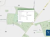 Parduodamas 50,10 ha miškų ūkio paskirties - nuotraukos Nr. 11