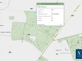 Parduodamas 50,10 ha miškų ūkio paskirties - nuotraukos Nr. 15