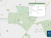 Parduodamas 50,10 ha miškų ūkio paskirties - nuotraukos Nr. 16