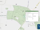 Parduodamas 50,10 ha miškų ūkio paskirties - nuotraukos Nr. 27