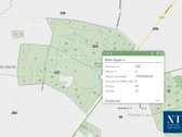 Parduodamas 50,10 ha miškų ūkio paskirties - nuotraukos Nr. 30