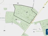 Parduodamas 50,10 ha miškų ūkio paskirties - nuotraukos Nr. 10