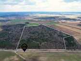 Parduodamas 50,10 ha miškų ūkio paskirties - nuotraukos Nr. 3
