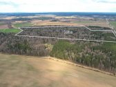 Parduodamas 50,10 ha miškų ūkio paskirties - nuotraukos Nr. 5