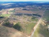 Parduodamas 50,10 ha miškų ūkio paskirties - nuotraukos Nr. 6