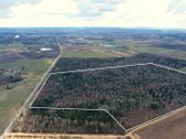 Parduodamas 50,10 ha miškų ūkio paskirties - nuotraukos Nr. 4