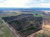 Parduodamas 50,10 ha miškų ūkio paskirties - nuotraukos Nr. 7