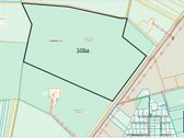 Parduodamas 50,10 ha miškų ūkio paskirties - nuotraukos Nr. 2