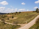 50 arų žemės ūkio sklypas prie Pakalniškių - nuotraukos Nr. 10