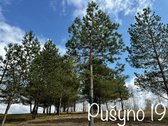 Parduodami 6 išskirtiniai namų valdos sklypai - nuotraukos Nr. 27