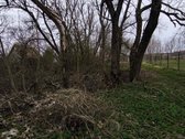 Vilniaus r. sav., Bendorių k. - nuotraukos Nr. 3