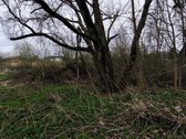 Vilniaus r. sav., Bendorių k. - nuotraukos Nr. 12