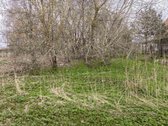 Vilniaus r. sav., Bendorių k. - nuotraukos Nr. 16