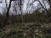Vilniaus r. sav., Bendorių k. - nuotraukos Nr. 17
