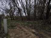 Vilniaus r. sav., Bendorių k. - nuotraukos Nr. 18