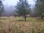 Dėmesio ! Dar Sumažinome Kainą ( buvo 240 - nuotraukos Nr. 2