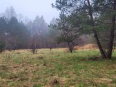 Dėmesio ! Dar Sumažinome Kainą ( buvo 240 - nuotraukos Nr. 3