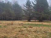 Dėmesio ! Dar Sumažinome Kainą ( buvo 240 - nuotraukos Nr. 7