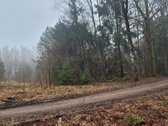 Dėmesio ! Dar Sumažinome Kainą ( buvo 240 - nuotraukos Nr. 13