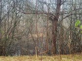 Dėmesio ! Dar Sumažinome Kainą ( buvo 240 - nuotraukos Nr. 10