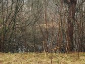 Dėmesio ! Dar Sumažinome Kainą ( buvo 240 - nuotraukos Nr. 9
