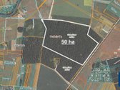 Parduodamas 50,10 ha miškų ūkio paskirties