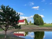 Parduodamas neįrengtas gyvenamasis namas - nuotraukos Nr. 9