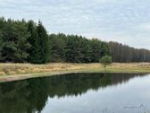 Parduodamas neįrengtas gyvenamasis namas - nuotraukos Nr. 10